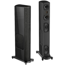 GoldenEar T Series T66 - Pair