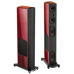 GOLDENEAR T SERIES T66 - PAIR